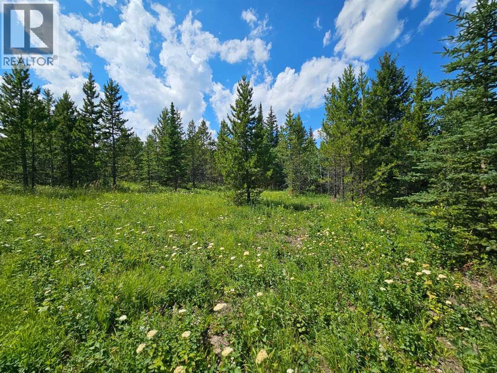 Lot #1, Rural Cardston County, Alberta  T0K 0K0 - Photo 18 - A2217507