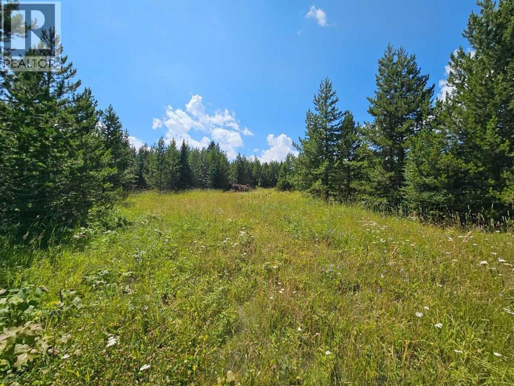 Lot #1, Rural Cardston County, Alberta  T0K 0K0 - Photo 20 - A2217507