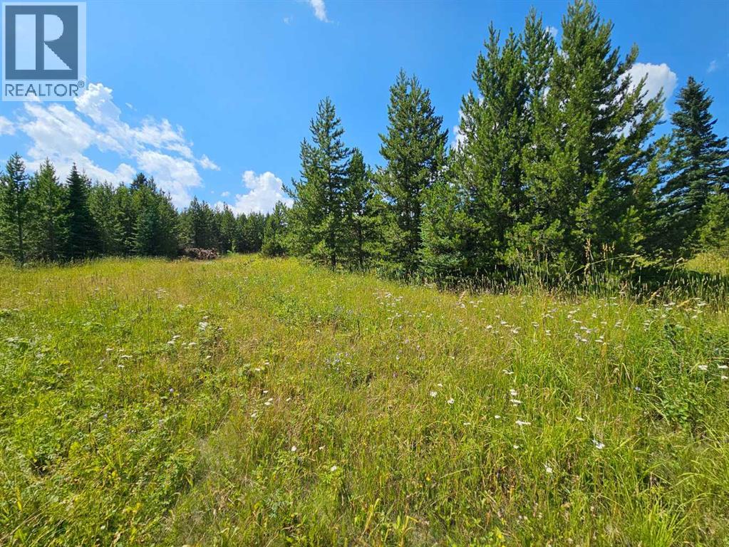 Lot #1, Rural Cardston County, Alberta  T0K 0K0 - Photo 21 - A2217507