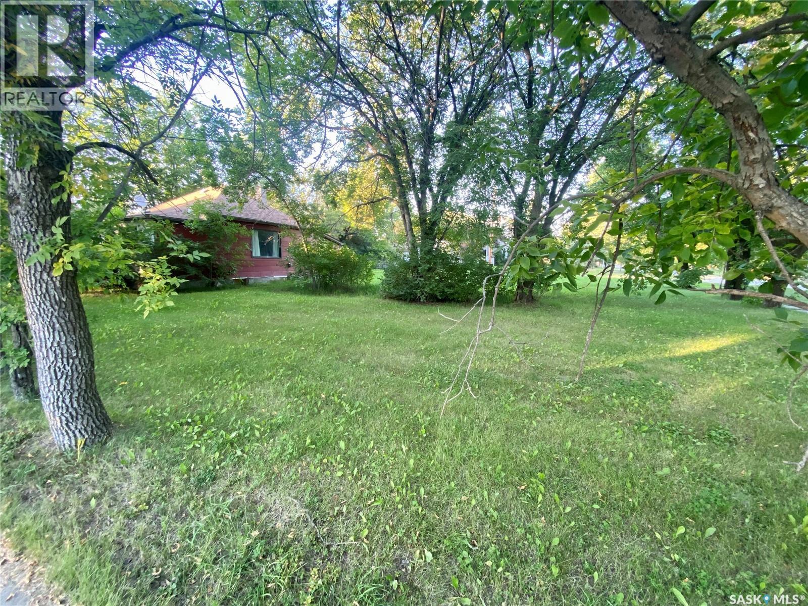 231 5th Street, Alameda, Saskatchewan  S0C 0A0 - Photo 17 - SK016706