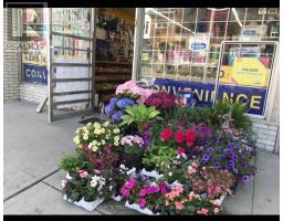 325 St George Street, Toronto (Annex), Ca