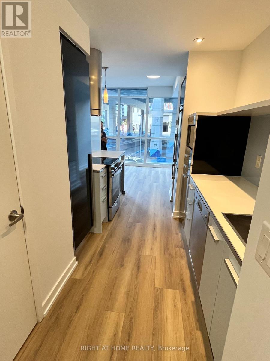 202 - 38 Dan Leckie Way, Toronto (Waterfront Communities), Ontario  M5V 2V6 - Photo 6 - C12365145
