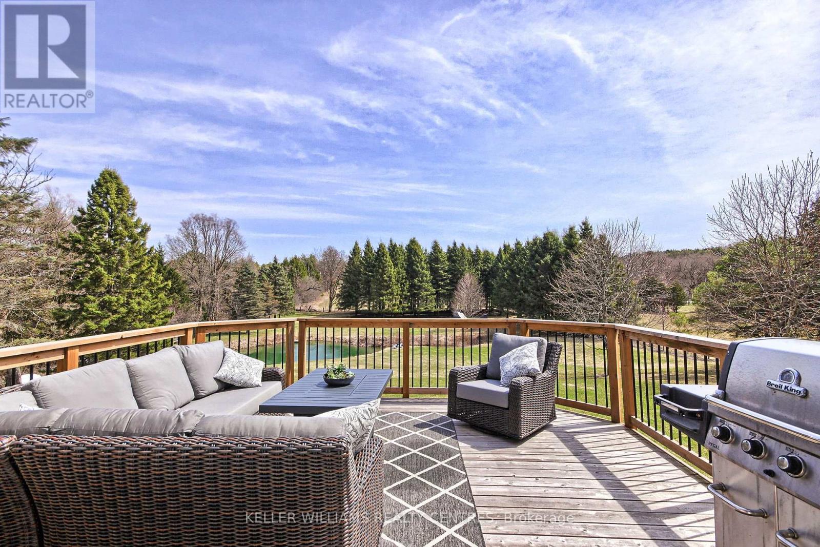 17781 Mccowan Road, East Gwillimbury, Ontario  L0G 1E0 - Photo 48 - N12365879