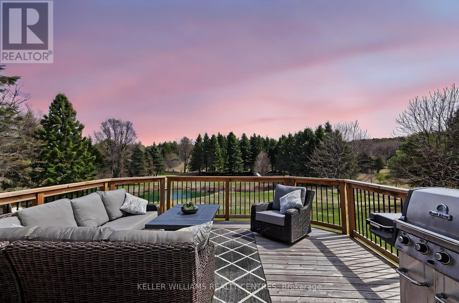 17781 Mccowan Road, East Gwillimbury, Ontario  L0G 1E0 - Photo 7 - N12365879
