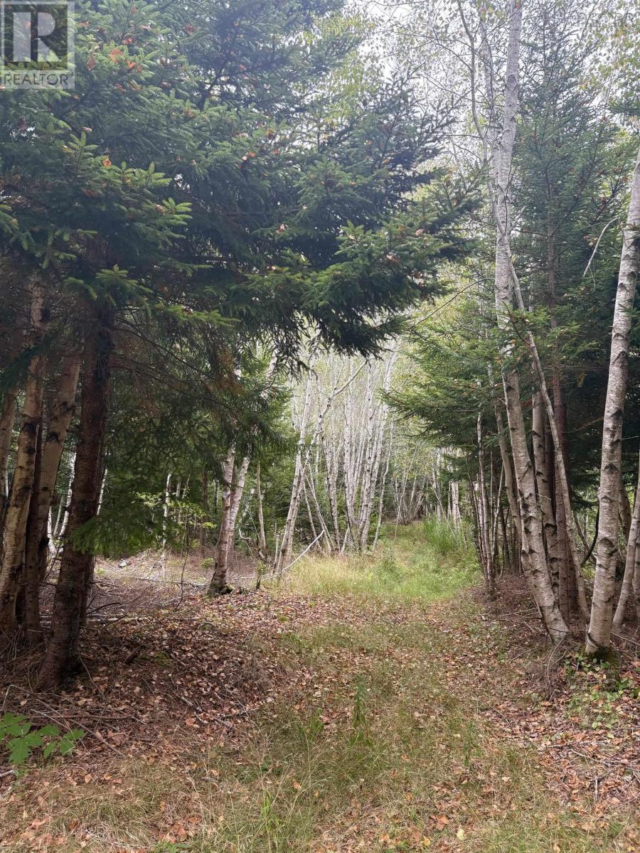 415 Sissiboo Road, Weymouth, Nova Scotia  B0W 3T0 - Photo 11 - 202520742