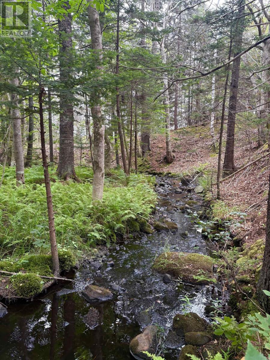 415 Sissiboo Road, Weymouth, Nova Scotia  B0W 3T0 - Photo 20 - 202520742