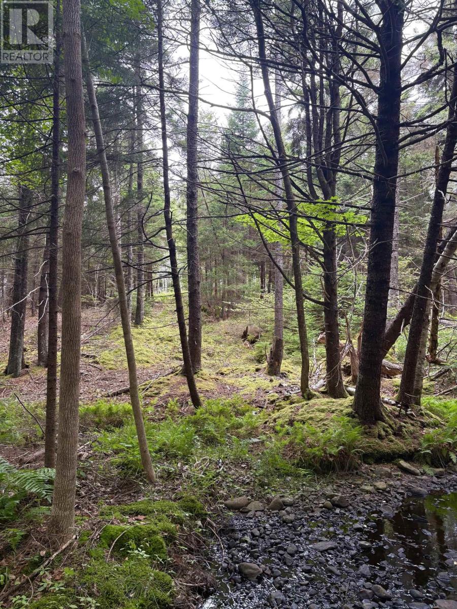 415 Sissiboo Road, Weymouth, Nova Scotia  B0W 3T0 - Photo 24 - 202520742