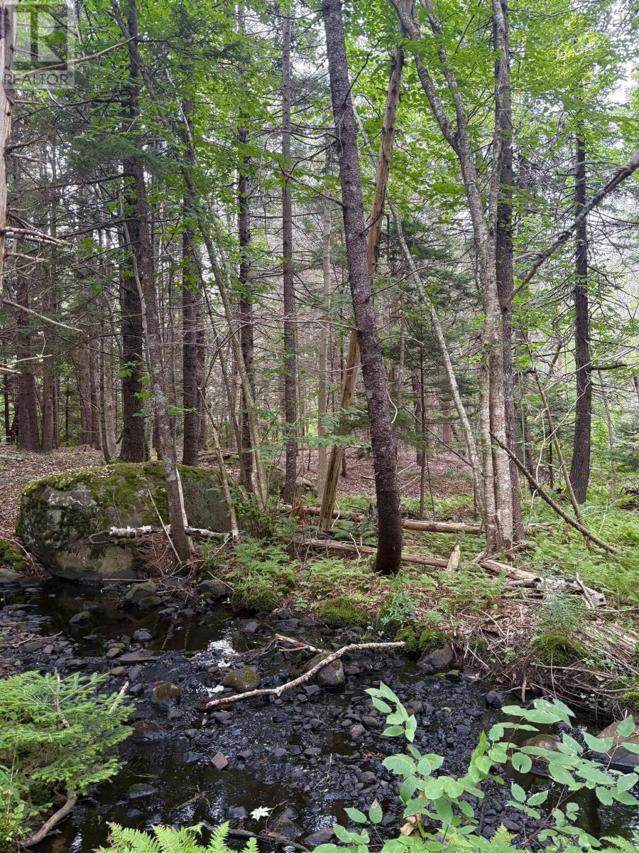 415 Sissiboo Road, Weymouth, Nova Scotia  B0W 3T0 - Photo 28 - 202520742