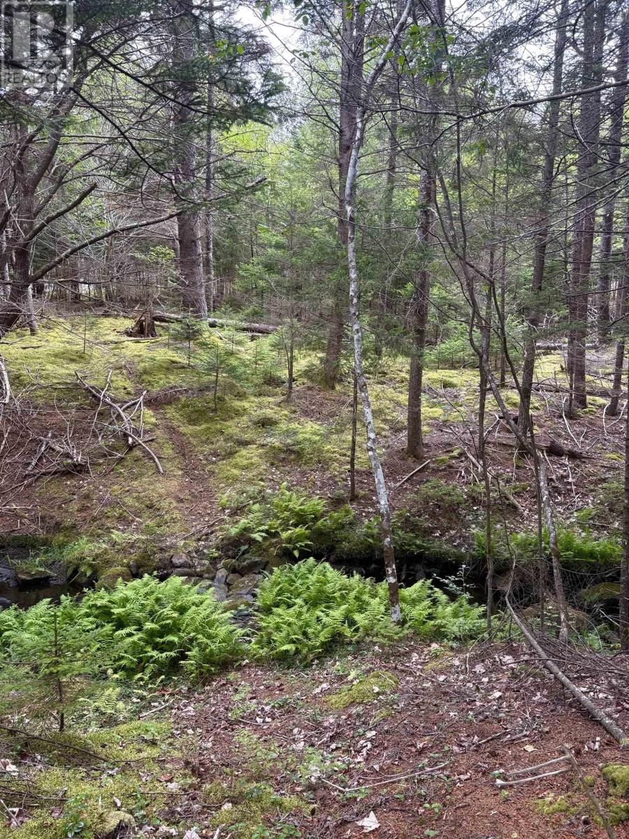 415 Sissiboo Road, Weymouth, Nova Scotia  B0W 3T0 - Photo 12 - 202520742