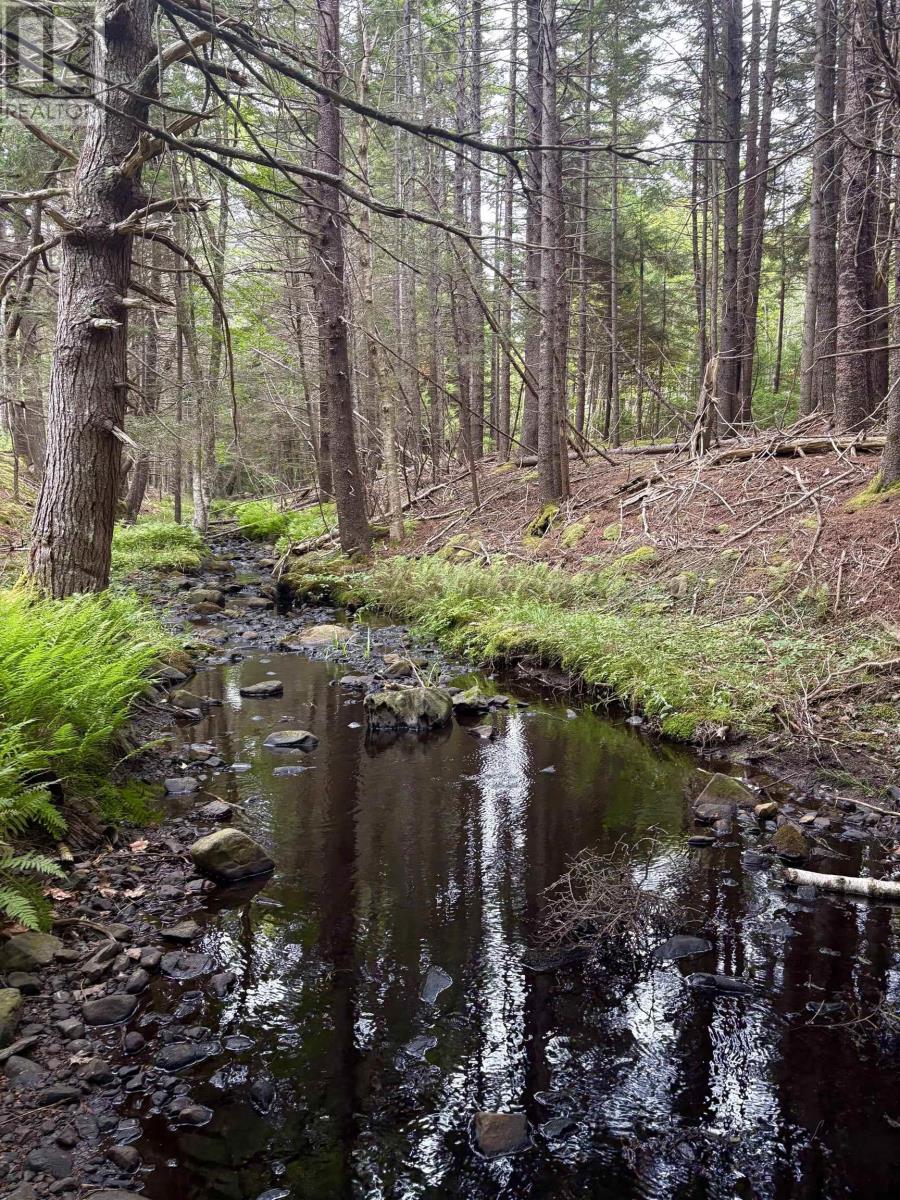 415 Sissiboo Road, Weymouth, Nova Scotia  B0W 3T0 - Photo 25 - 202520742