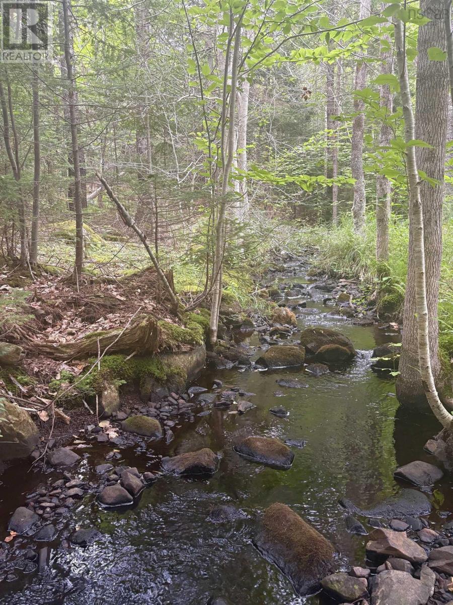 415 Sissiboo Road, Weymouth, Nova Scotia  B0W 3T0 - Photo 5 - 202520742