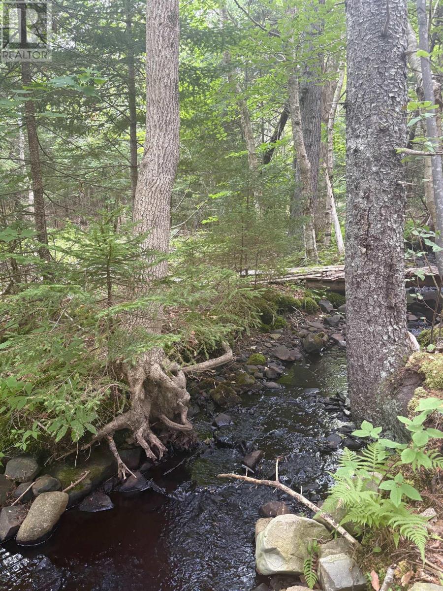 415 Sissiboo Road, Weymouth, Nova Scotia  B0W 3T0 - Photo 36 - 202520742
