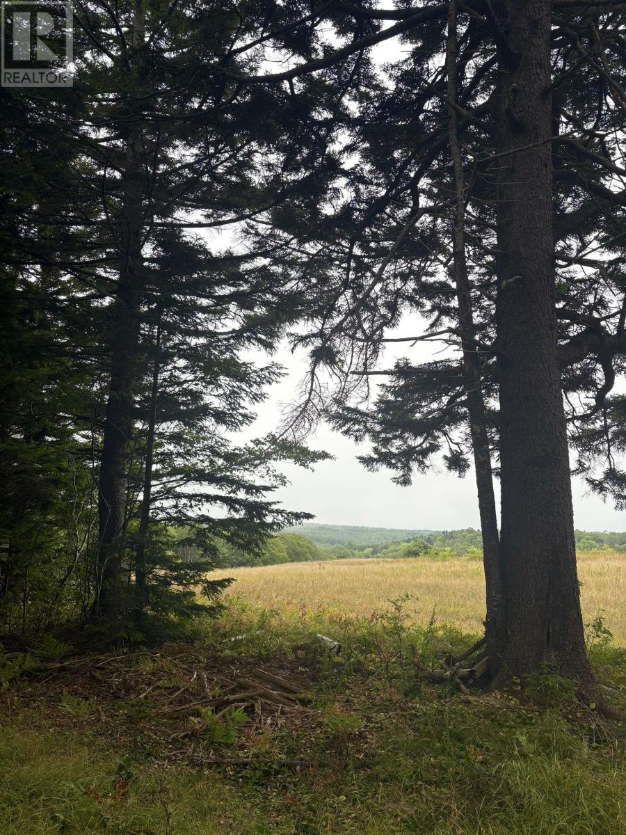 415 Sissiboo Road, Weymouth, Nova Scotia  B0W 3T0 - Photo 7 - 202520742