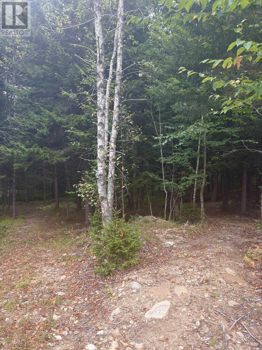 415 Sissiboo Road, Weymouth, Nova Scotia  B0W 3T0 - Photo 26 - 202520742