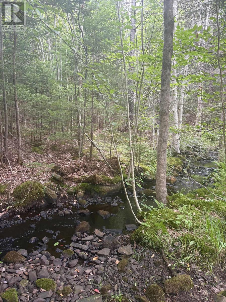 415 Sissiboo Road, Weymouth, Nova Scotia  B0W 3T0 - Photo 19 - 202520742