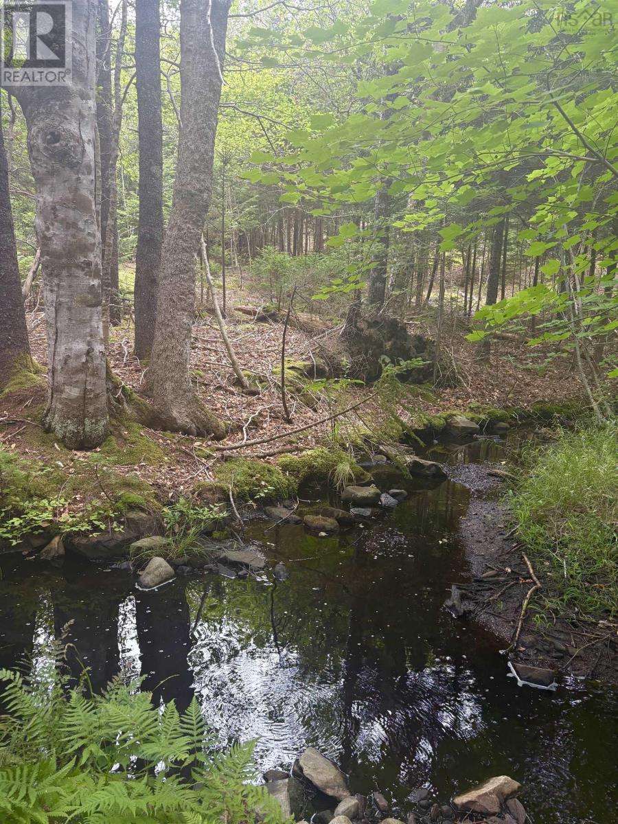 415 Sissiboo Road, Weymouth, Nova Scotia  B0W 3T0 - Photo 16 - 202520742