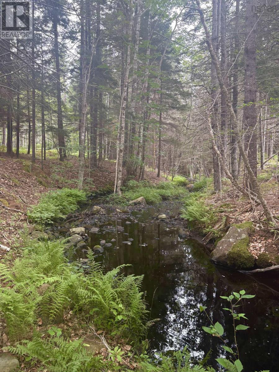 415 Sissiboo Road, Weymouth, Nova Scotia  B0W 3T0 - Photo 27 - 202520742