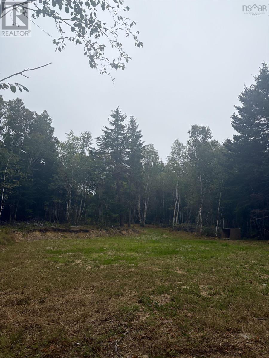 415 Sissiboo Road, Weymouth, Nova Scotia  B0W 3T0 - Photo 8 - 202520742