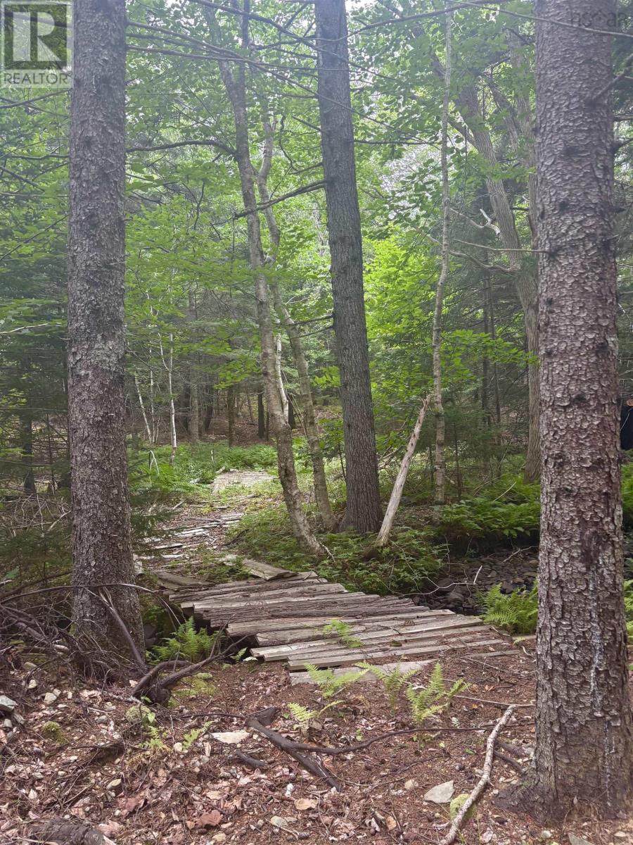 415 Sissiboo Road, Weymouth, Nova Scotia  B0W 3T0 - Photo 34 - 202520742
