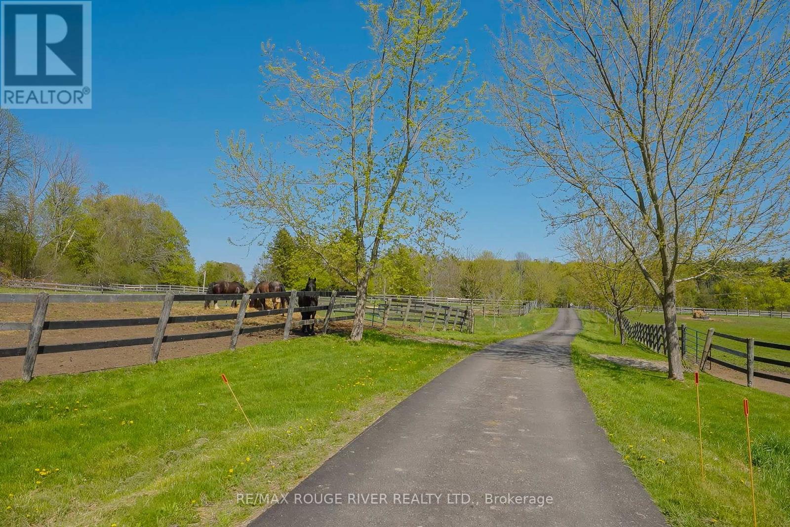 436 Eddystone Road, Alnwick/haldimand, Ontario  K0K 2G0 - Photo 35 - X12351930