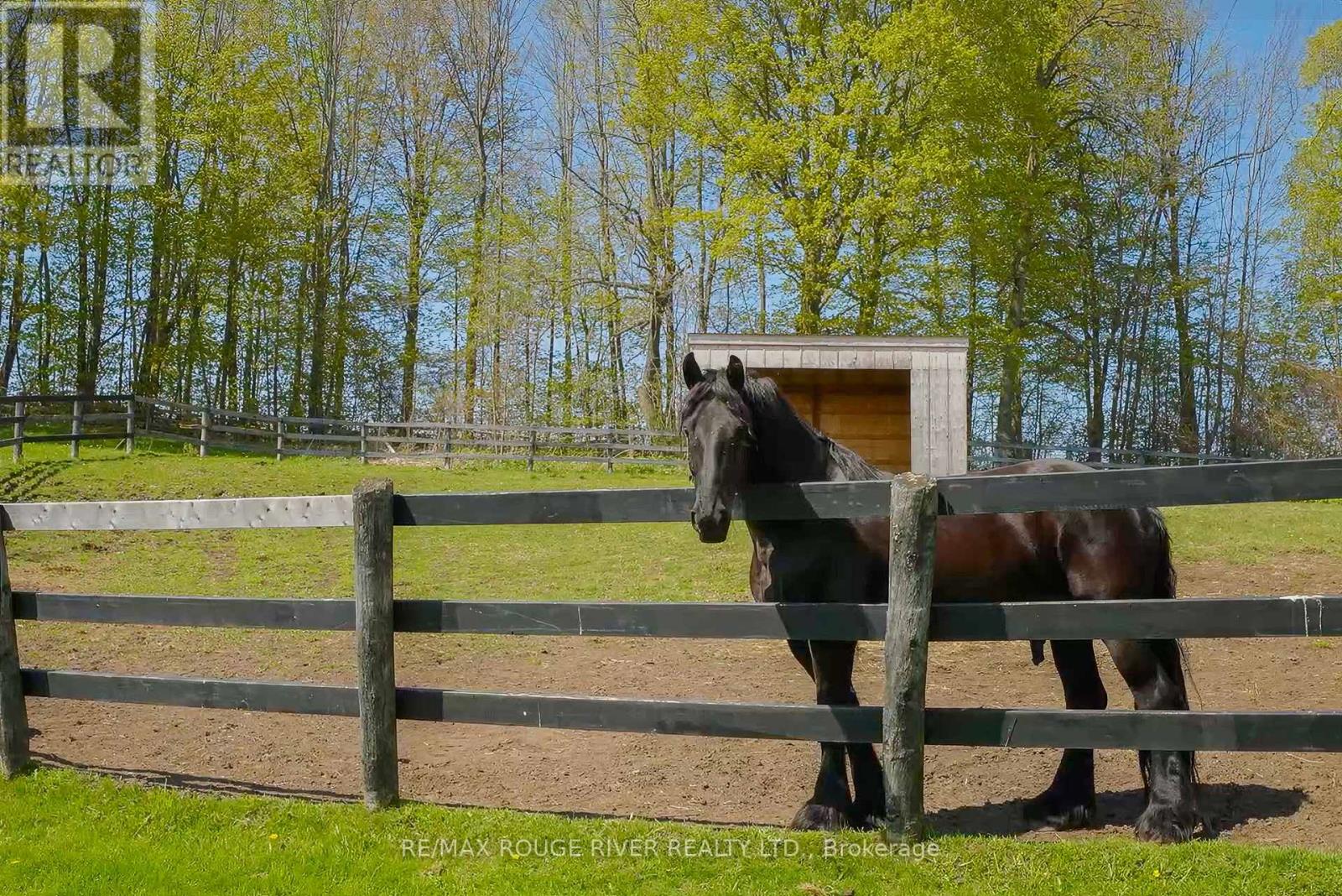 436 Eddystone Road, Alnwick/haldimand, Ontario  K0K 2G0 - Photo 36 - X12351930