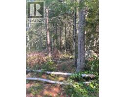 80 Whittier Road, Rollingdam, New Brunswick