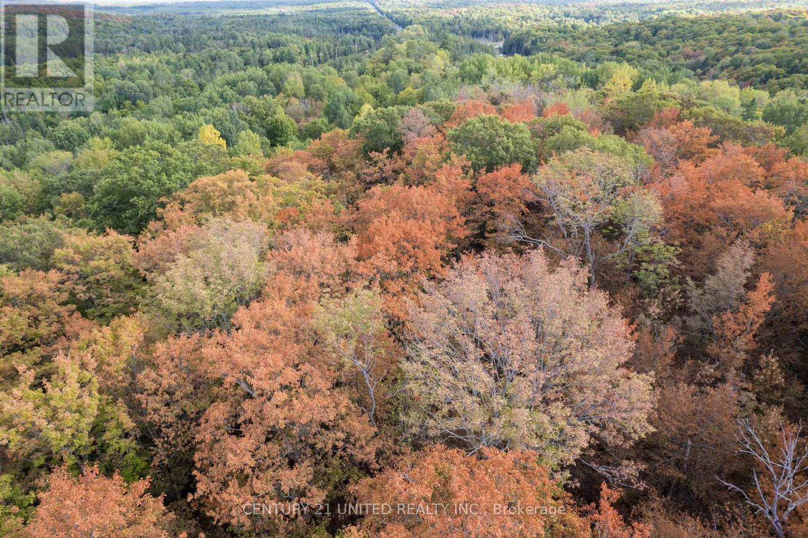 23 Rusaw Road, North Kawartha, Ontario  K0L 1A0 - Photo 16 - X12366284