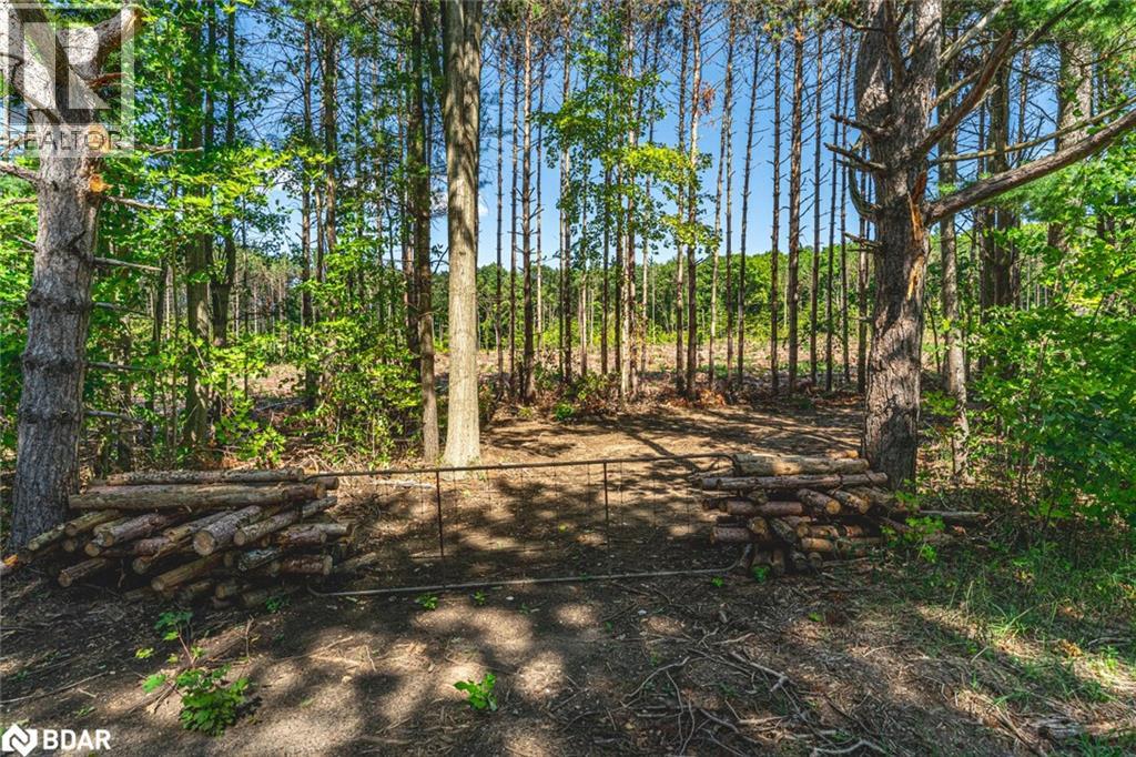 3891 9 Line N, Oro-Medonte, Ontario  L0K 1E0 - Photo 31 - 40763404