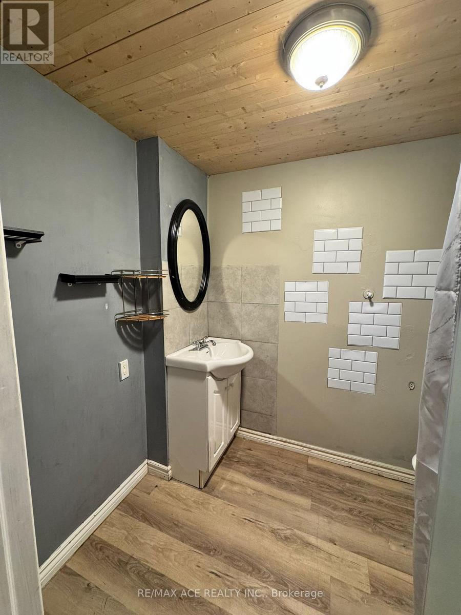 Bsmt - 354 Trailridge Crescent, Oshawa, Ontario  L1K 1Y4 - Photo 8 - E12366477