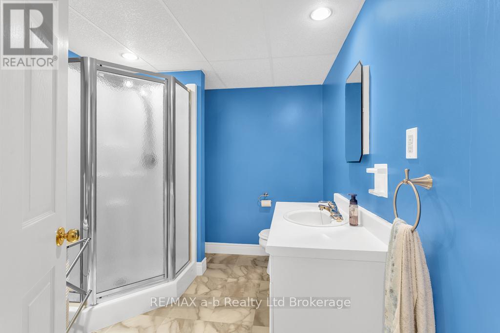 53 Woodland Crescent, Tillsonburg, Ontario  N4G 4G6 - Photo 19 - X12366693