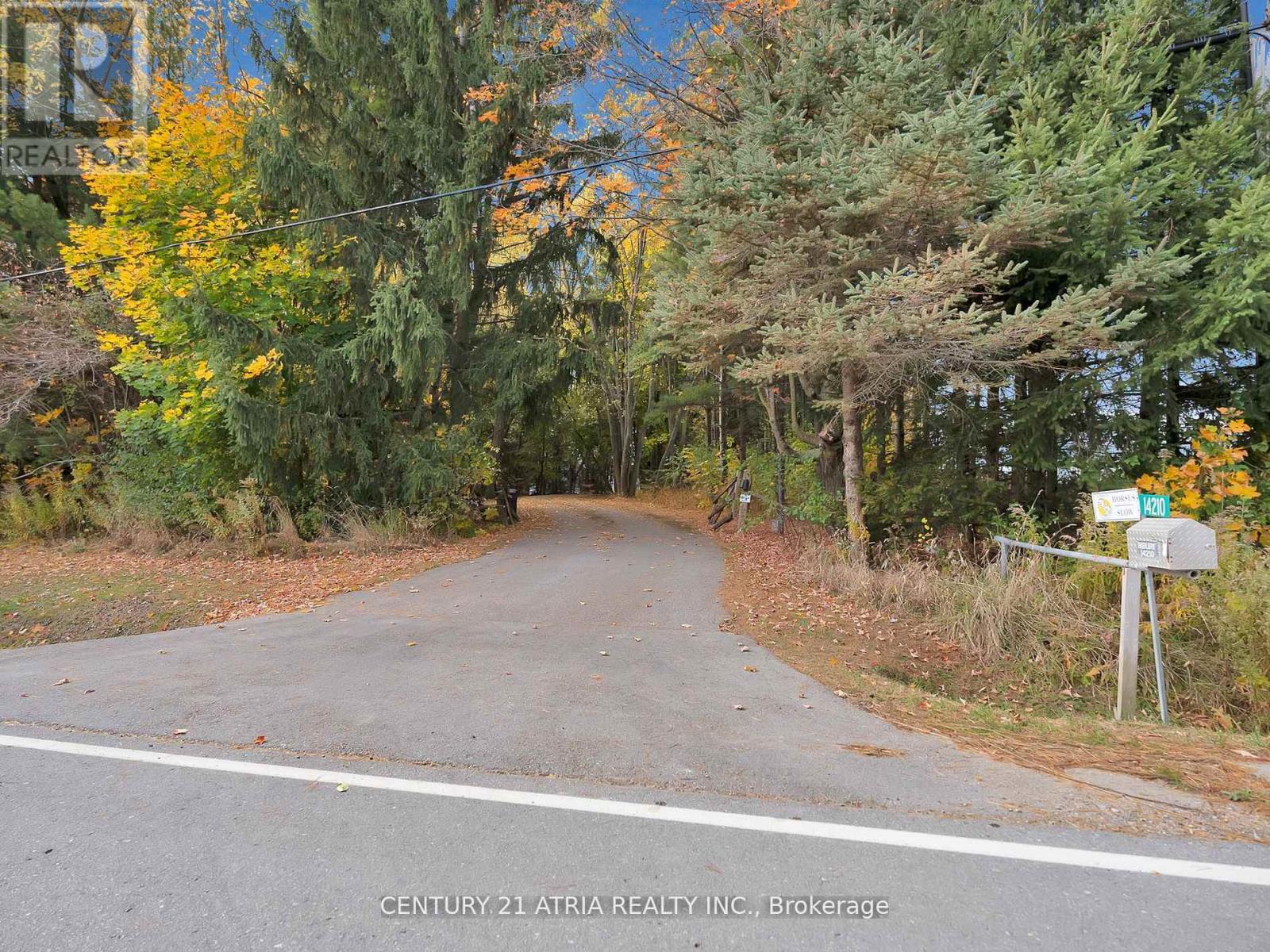 14210 7th Concession Road, King, Ontario  L7B 1K4 - Photo 38 - N12366623