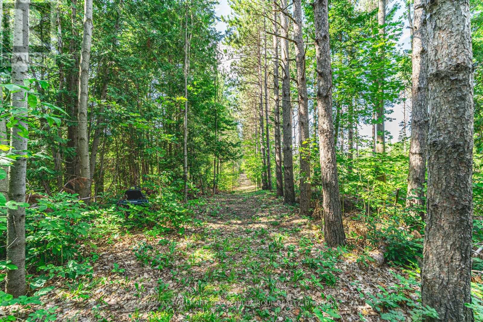 3891 9 Line N, Oro-Medonte, Ontario  L0K 1E0 - Photo 30 - S12366648