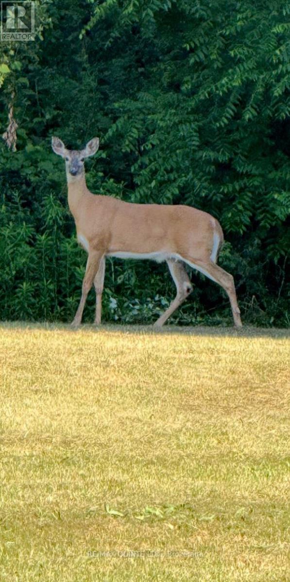 143 Taft Road, Prince Edward County (Ameliasburgh), Ontario  K0K 1L0 - Photo 50 - X12366752