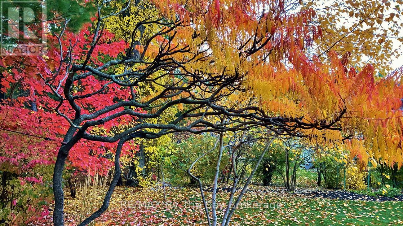 29 Cranberry Heights, Wasaga Beach, Ontario  L9Z 1M9 - Photo 41 - S12366533