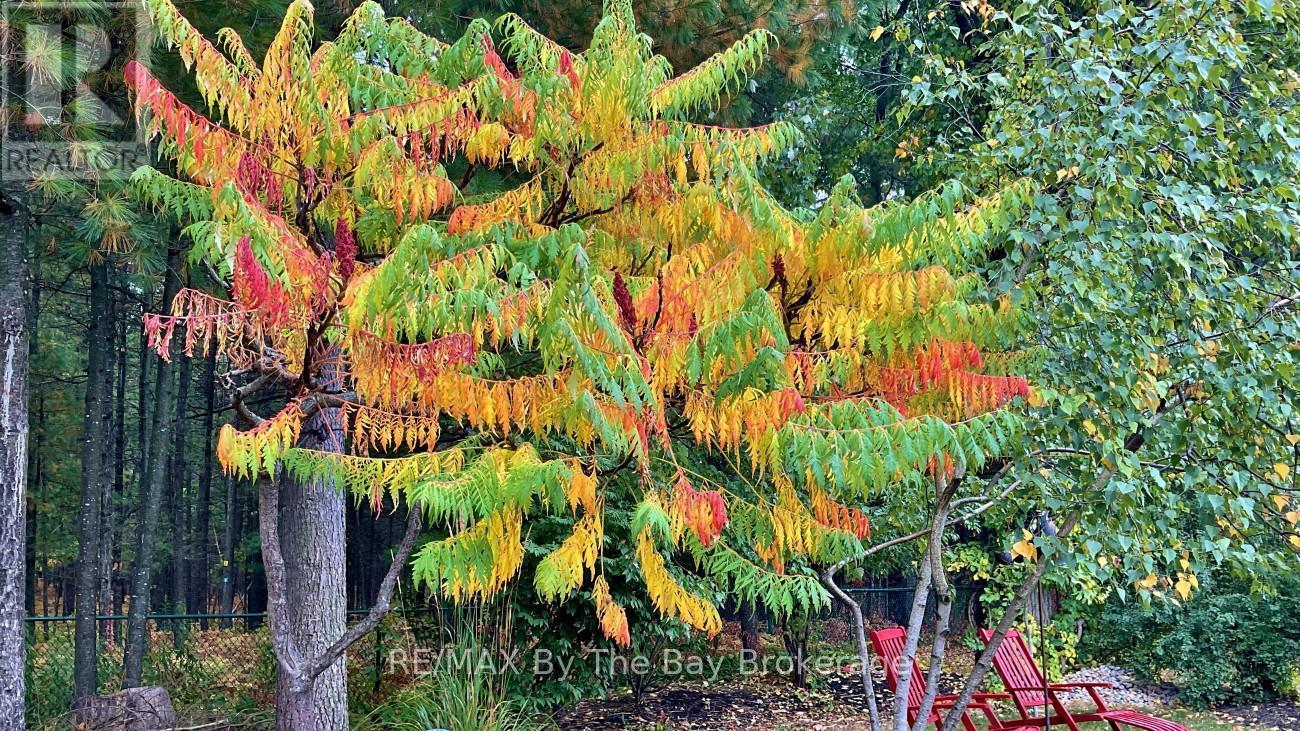 29 Cranberry Heights, Wasaga Beach, Ontario  L9Z 1M9 - Photo 39 - S12366533