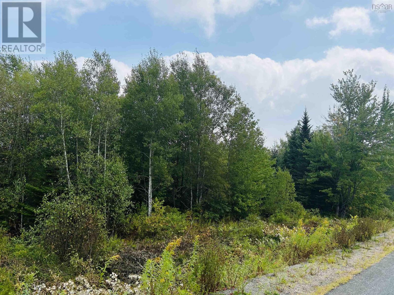 Lot Alpena Road, East Inglisville, Nova Scotia
