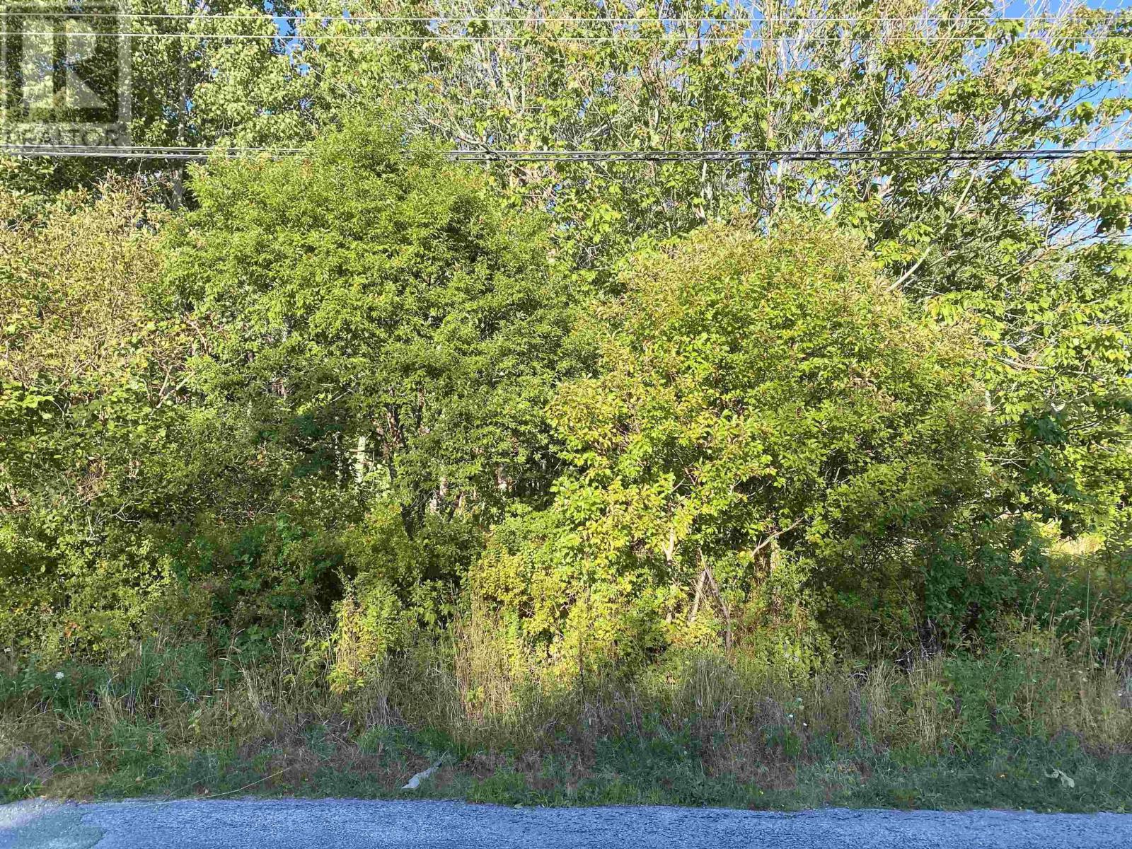 Lots 102 Great Hill Road, Brooklyn, Nova Scotia  B0J 1H0 - Photo 3 - 202521196