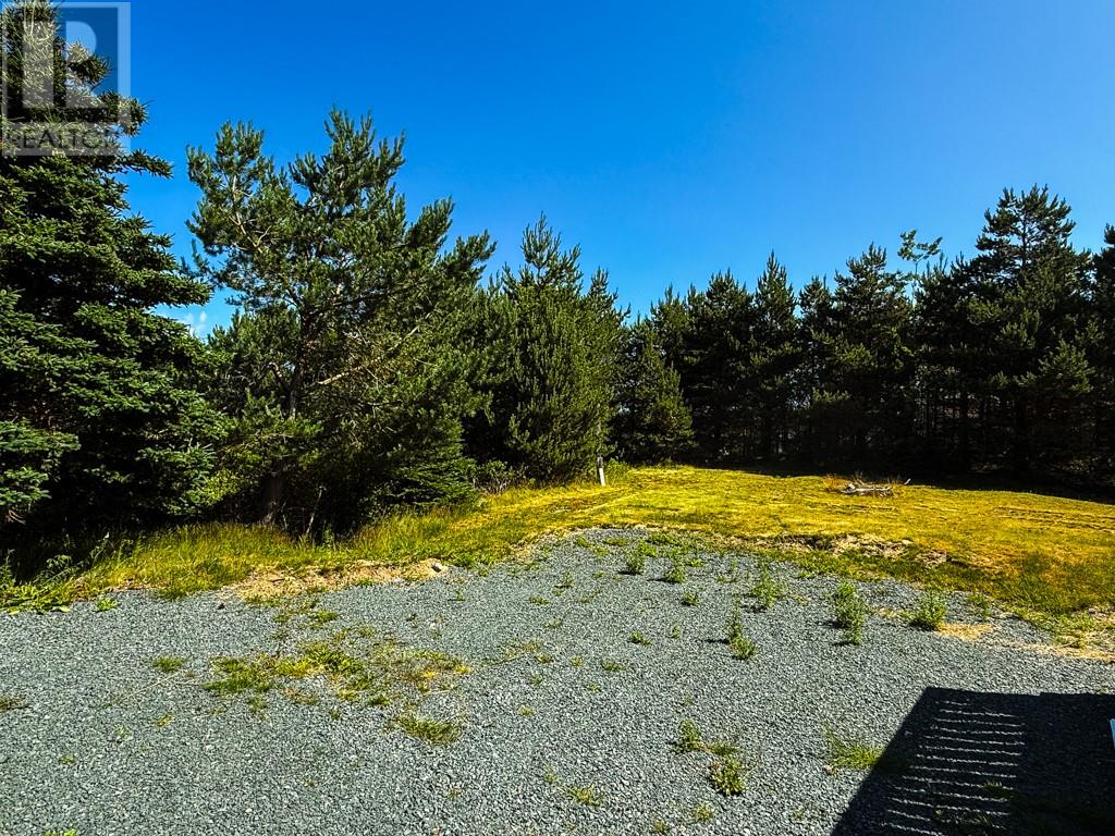 15 Gully Road, Bay Roberts, Newfoundland & Labrador  A0A 1G0 - Photo 16 - 1287722