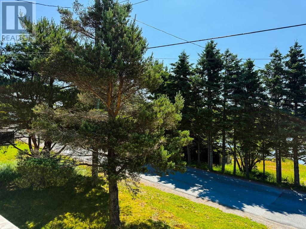 15 Gully Road, Bay Roberts, Newfoundland & Labrador  A0A 1G0 - Photo 15 - 1287722