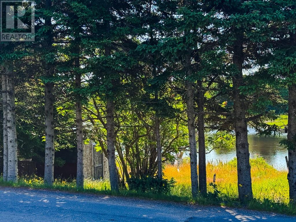15 Gully Road, Bay Roberts, Newfoundland & Labrador  A0A 1G0 - Photo 3 - 1287722