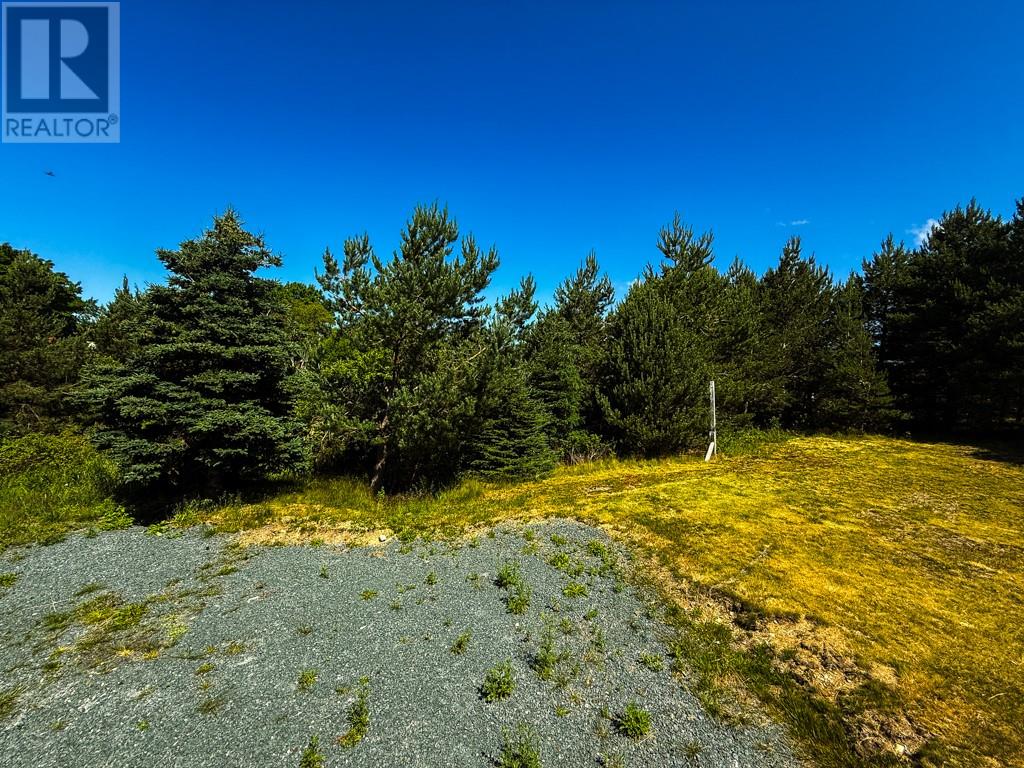 15 Gully Road, Bay Roberts, Newfoundland & Labrador  A0A 1G0 - Photo 4 - 1287722