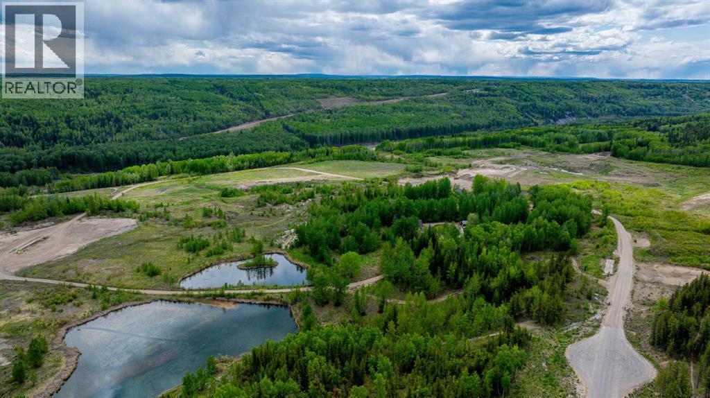 #b 703034 Highway 40 Highway, Rural Grande Prairie No. 1, Alberta  T8V 3A1 - Photo 2 - A2232950