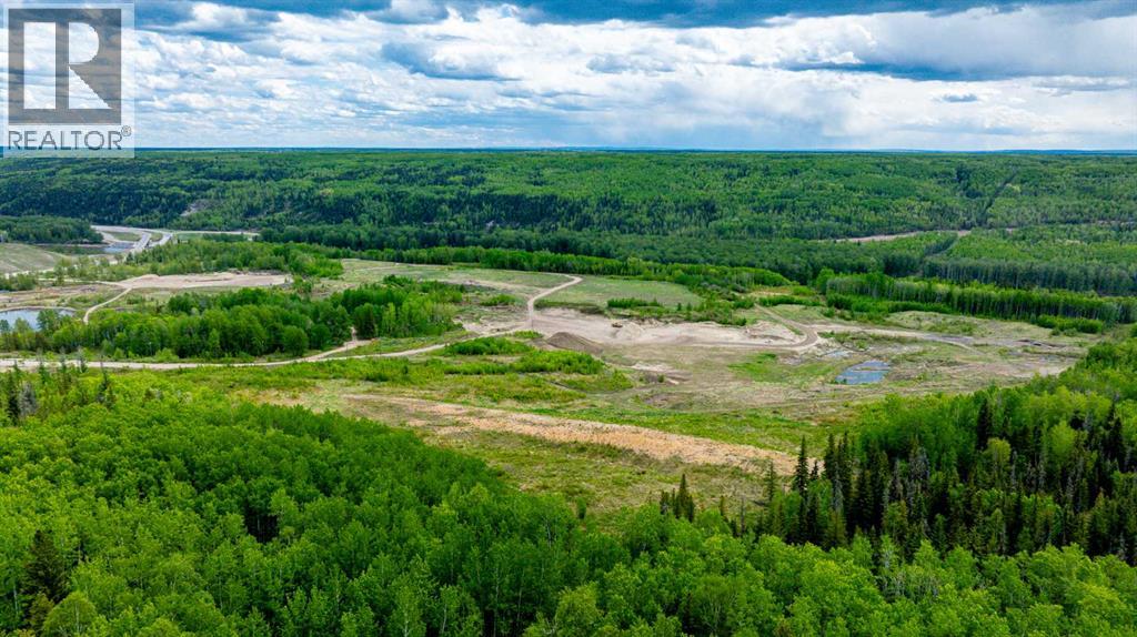 #b 703034 Highway 40 Highway, Rural Grande Prairie No. 1, Alberta  T8V 3A1 - Photo 3 - A2232950