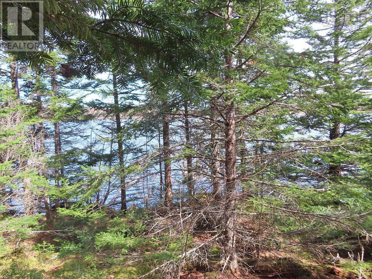 Lot 19 Joanne Langford Drive, French Road, Nova Scotia  B1K 3P9 - Photo 17 - 202518867