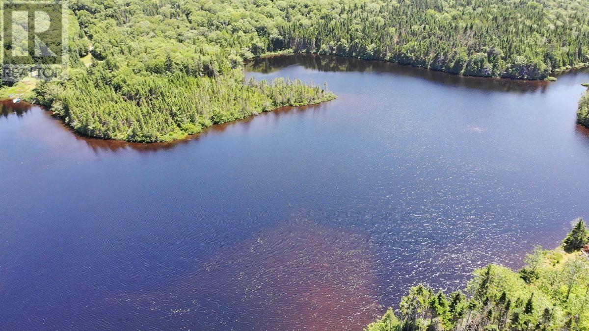 Lot 19 Joanne Langford Drive, French Road, Nova Scotia  B1K 3P9 - Photo 8 - 202518867