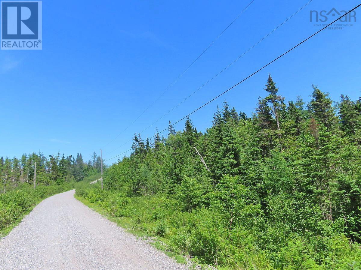 Lot 19 Joanne Langford Drive, French Road, Nova Scotia  B1K 3P9 - Photo 20 - 202518867