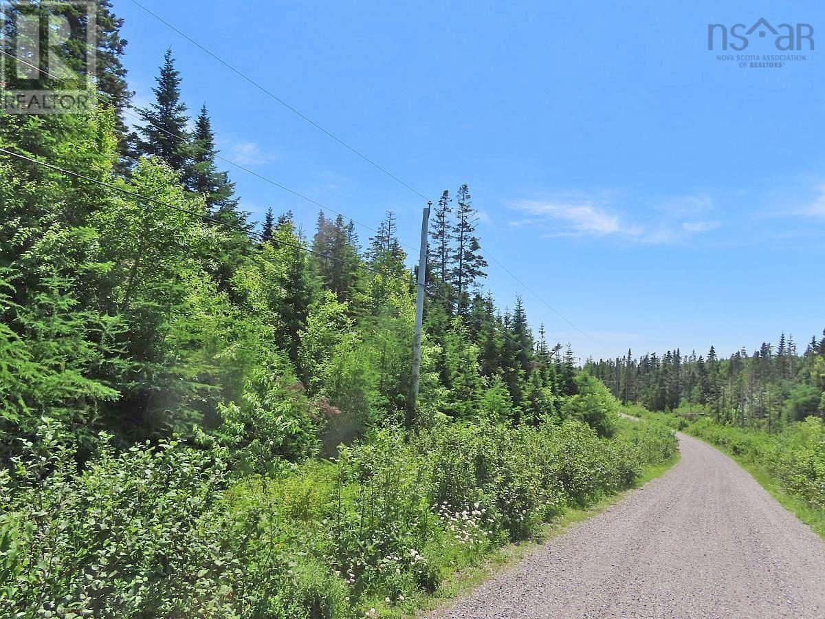 Lot 19 Joanne Langford Drive, French Road, Nova Scotia  B1K 3P9 - Photo 21 - 202518867