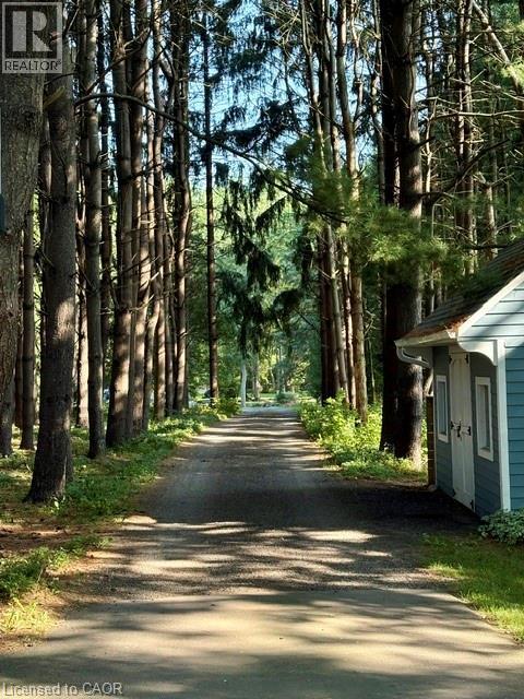 39 Barnabas Street, Lynden, Ontario  L0R 1T0 - Photo 4 - 40763891