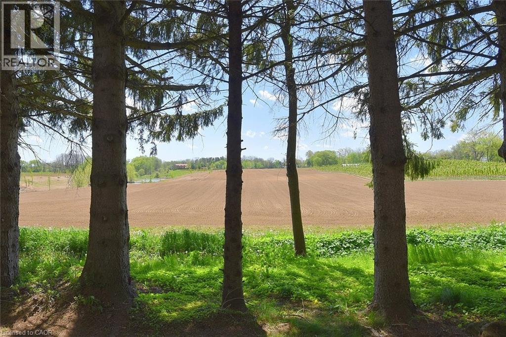 39 Barnabas Street, Lynden, Ontario  L0R 1T0 - Photo 40 - 40763891