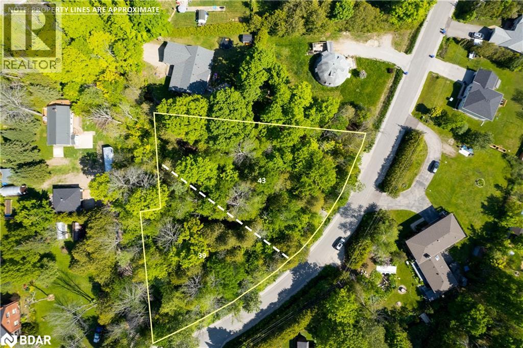 39 & 43 Campbell Avenue, Oro-Medonte, Ontario  L0L 1T0 - Photo 2 - 40763903